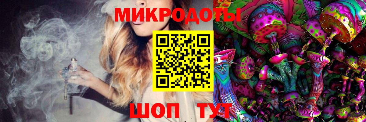 Псилоцибиновые грибы Cubensis Кандалакша